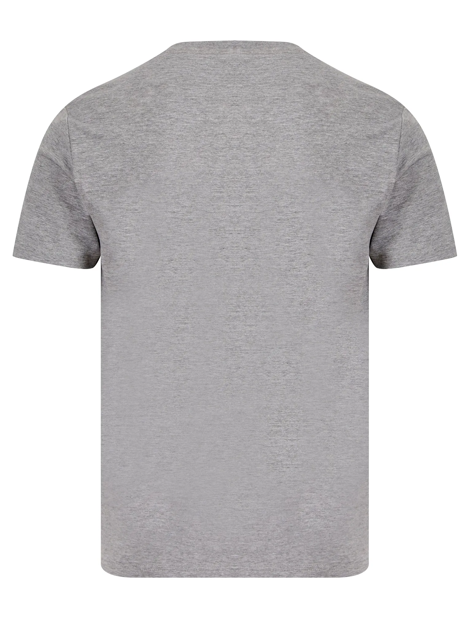 Newry Motif Cotton Jersey T-Shirt in Light Grey Marl - South Shore