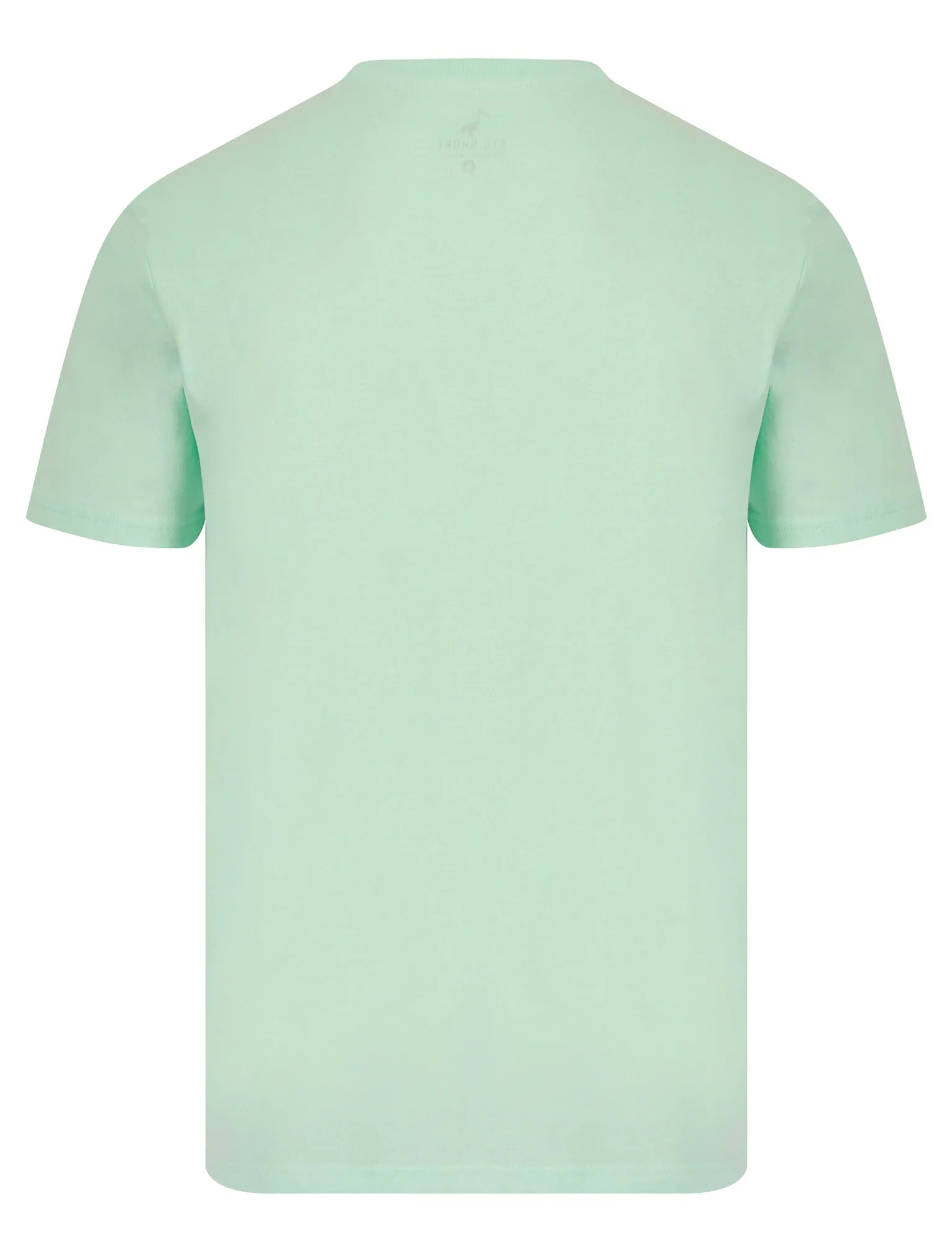 Straban Motif Cotton Jersey T-Shirt in Fair Aqua - South Shore