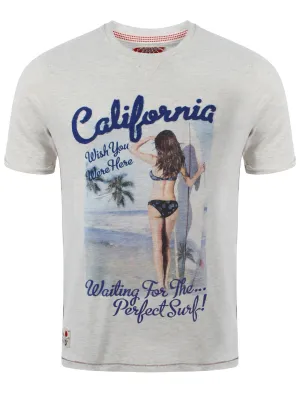 Tokyo Laundry Hanauma Bay T-shirt in Oatgrey Marl